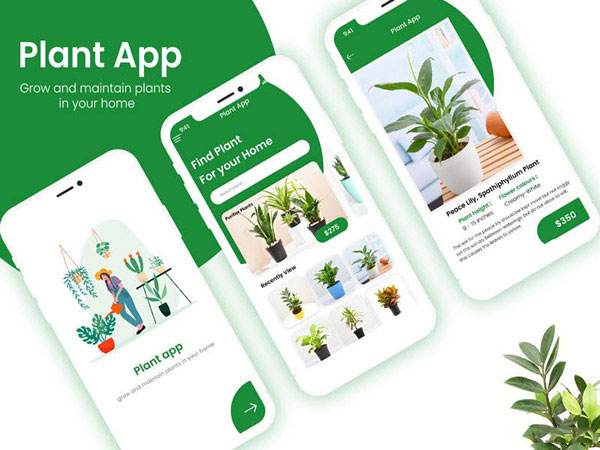 盆栽App.jpeg 成都App开发