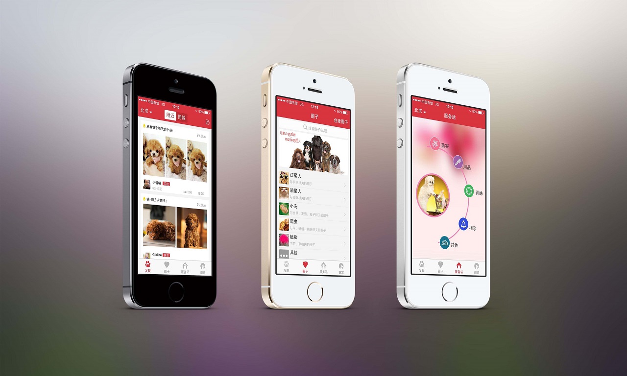 宠物领养App.jpg 成都App开发